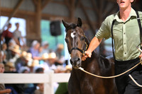 Lot 92