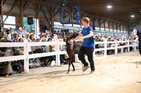 Lot 94