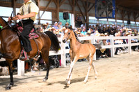 AJB_1928