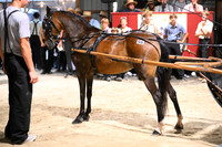 Lot 96