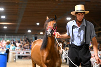 Lot 98