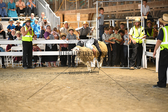 AJB_8902