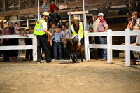 AJB_8917