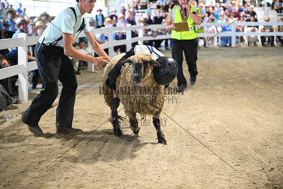 AJB_8926