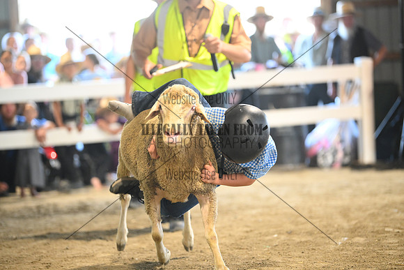 AJB_8968