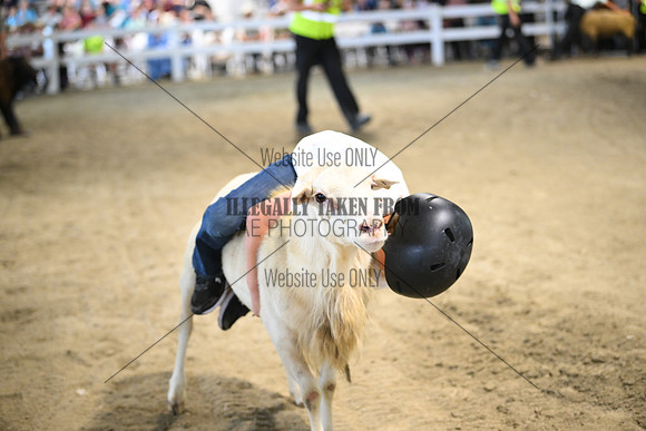AJB_8981