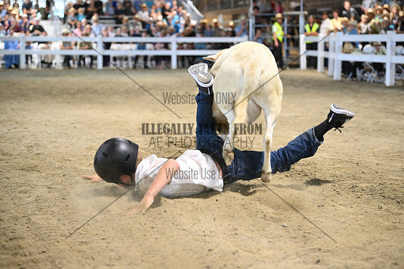 AJB_8989