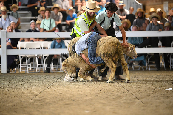 AJB_9005