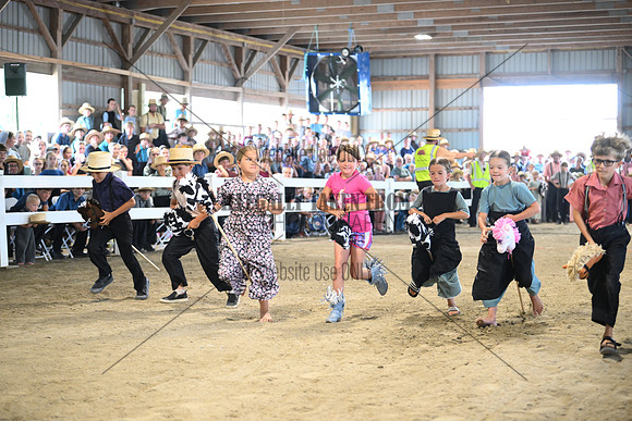 AJB_9050
