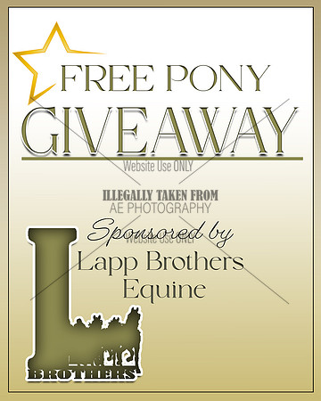 Free Pony Giveaway