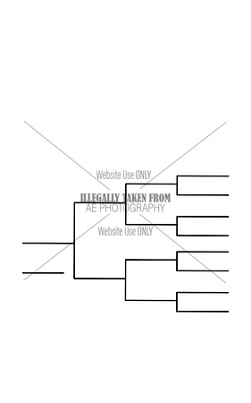 pedigree chart
