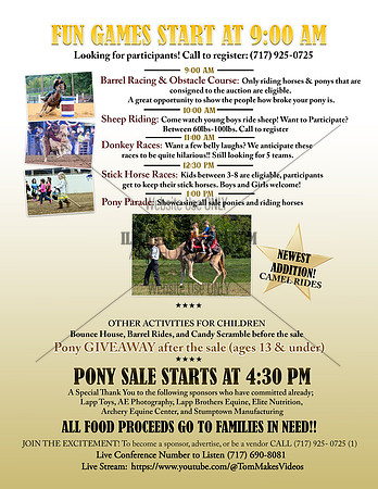 Ponyad-side2-FLyer