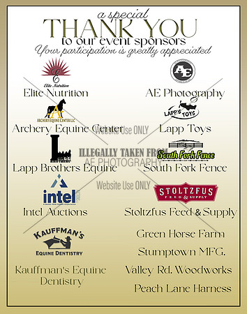 Sponsor THankyou-2