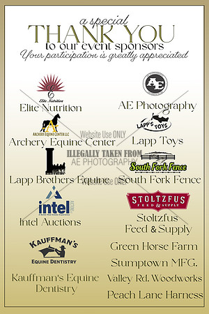 Sponsor THankyou-3