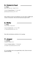 Pony Sale Catalog10
