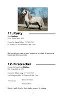 Pony Sale Catalog12