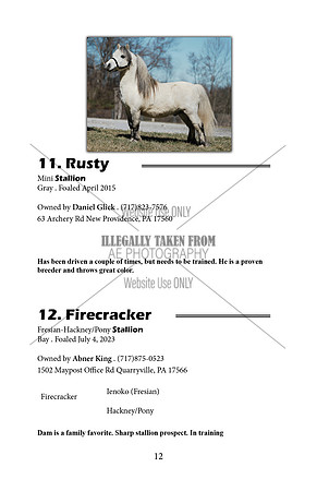 Pony Sale Catalog12