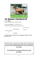 Pony Sale Catalog13