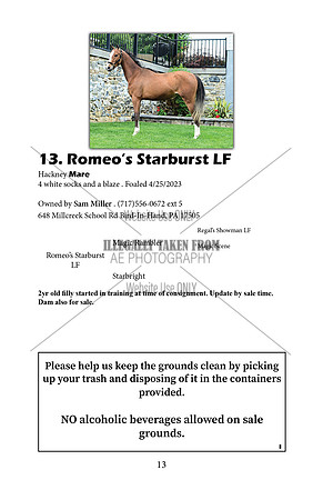 Pony Sale Catalog13