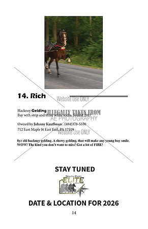 Pony Sale Catalog14