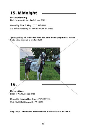 Pony Sale Catalog15