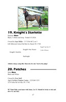 Pony Sale Catalog17