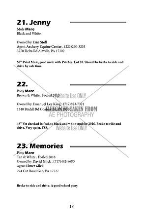 Pony Sale Catalog18