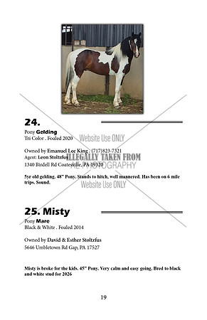 Pony Sale Catalog19