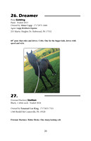 Pony Sale Catalog20