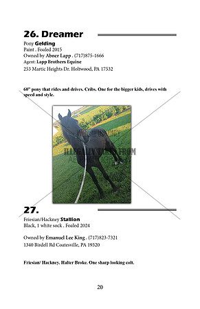 Pony Sale Catalog20