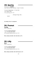Pony Sale Catalog23