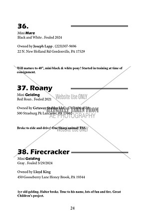Pony Sale Catalog24