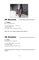 Pony Sale Catalog25