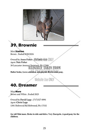 Pony Sale Catalog25