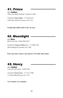 Pony Sale Catalog26