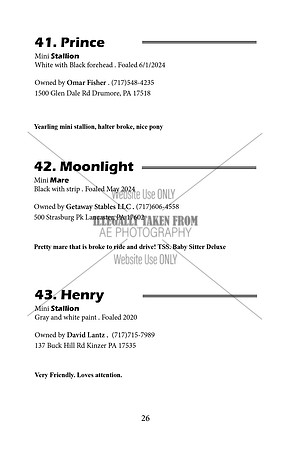 Pony Sale Catalog26