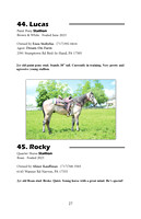 Pony Sale Catalog27