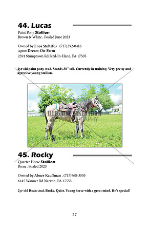 Pony Sale Catalog27