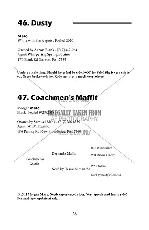 Pony Sale Catalog28
