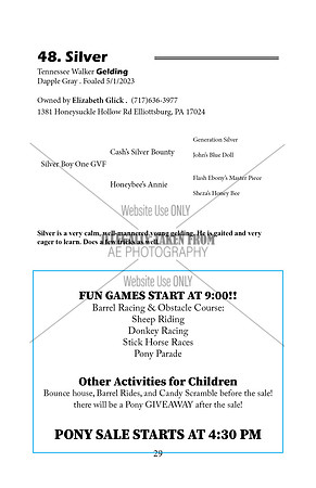 Pony Sale Catalog29
