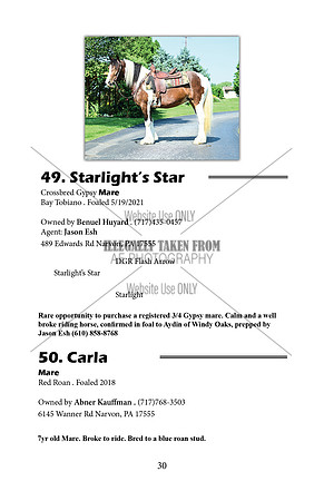Pony Sale Catalog30