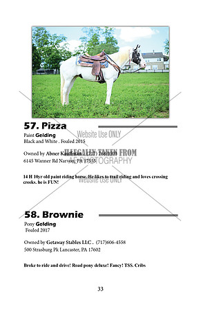 Pony Sale Catalog33