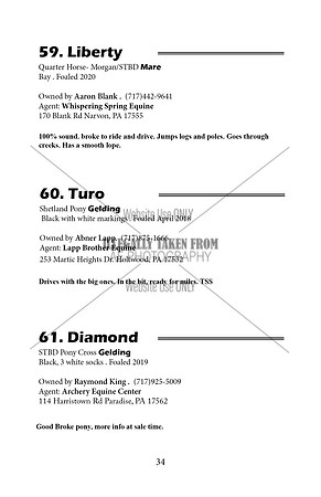 Pony Sale Catalog34