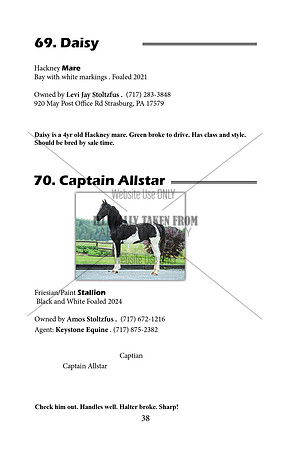 Pony Sale Catalog38