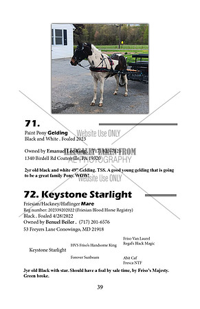 Pony Sale Catalog39
