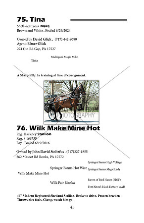Pony Sale Catalog41