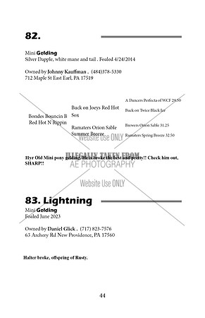 Pony Sale Catalog44