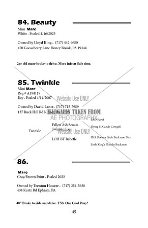 Pony Sale Catalog45
