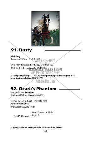 Pony Sale Catalog48