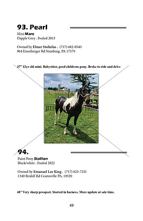 Pony Sale Catalog49